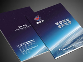 分级评估模型